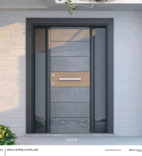 BIONKA Steel Door 1012