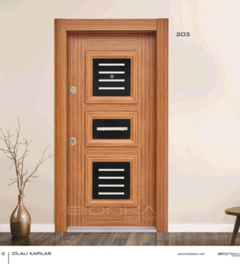 BIONKA Steel Door 203
