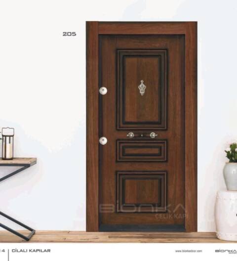 BIONKA Steel Door 205