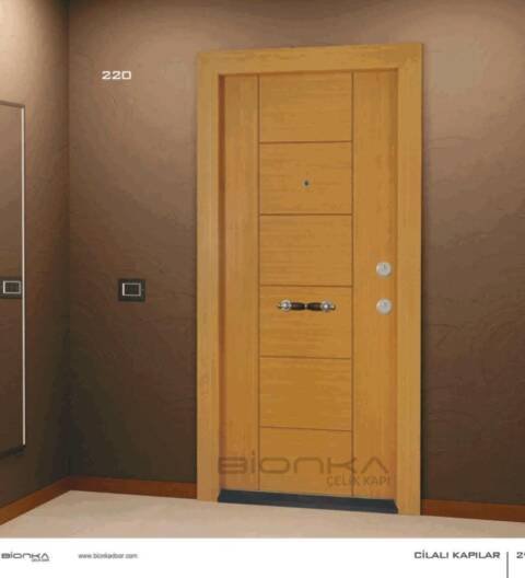 BIONKA Steel Door 220