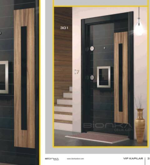 BIONKA Steel Door 301