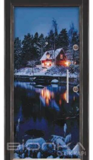 BIONKA Steel Door 606